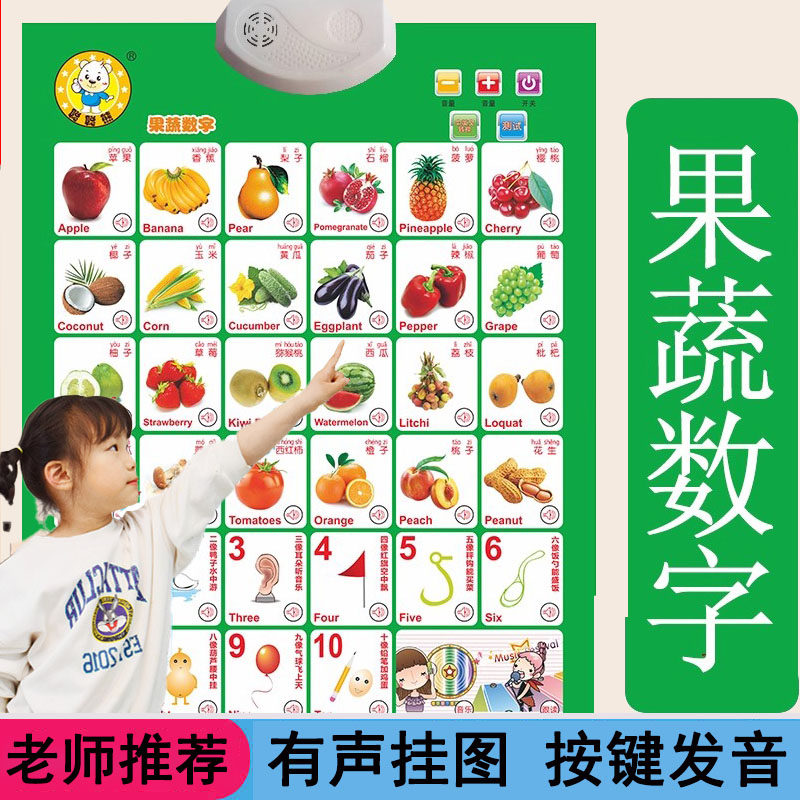 儿童早教益智点读发声挂图