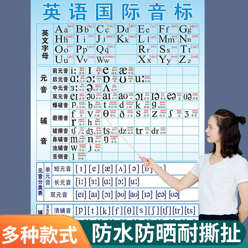 小学生48个英语国际音标挂图