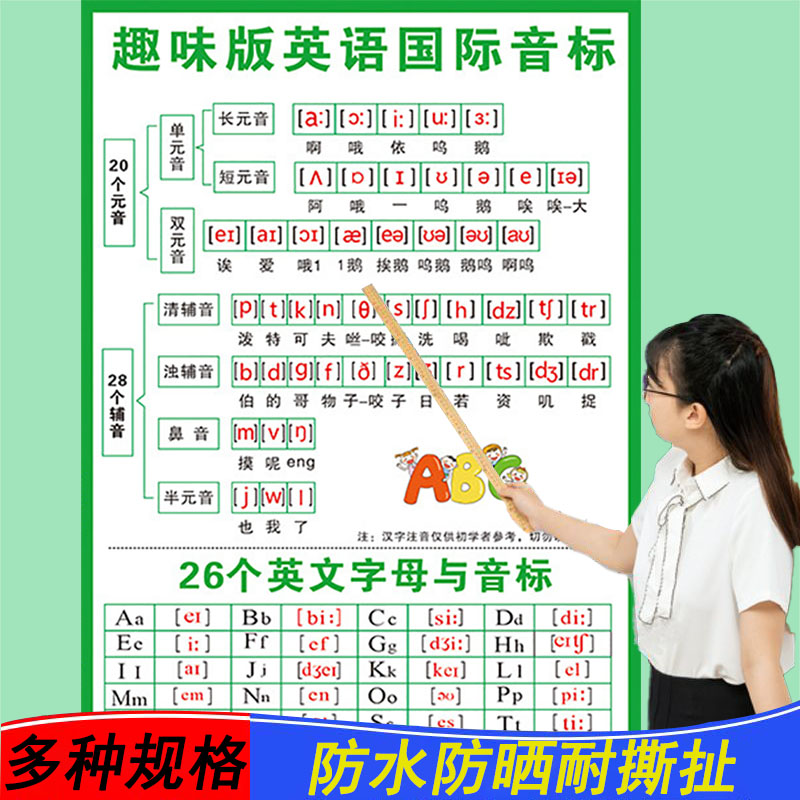 趣味48音标英语国际音标挂图