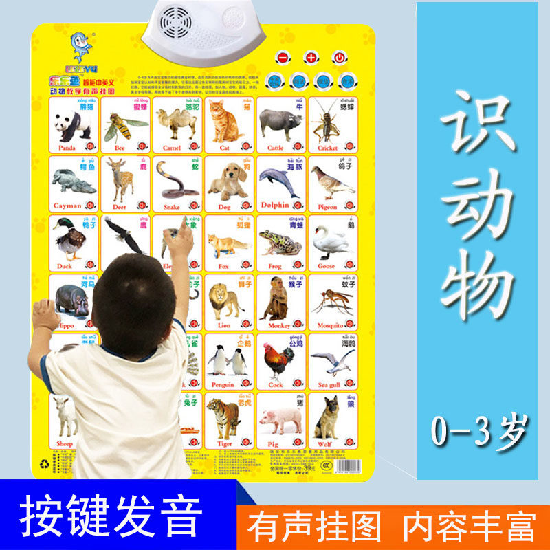 有声挂图早教启蒙玩具认知卡