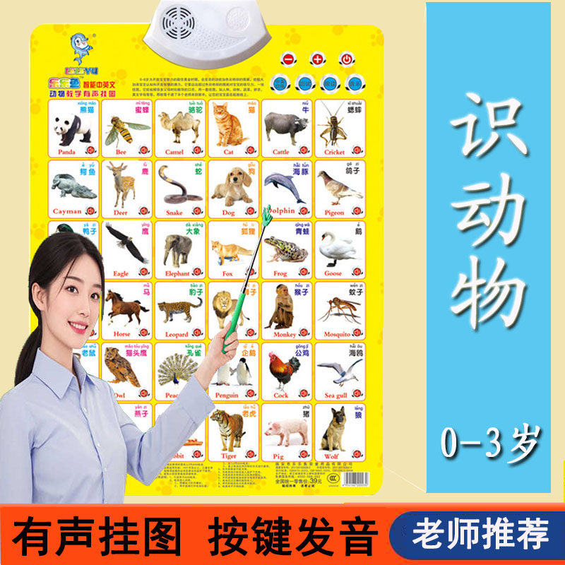 认识动物中英文挂图双语教学
