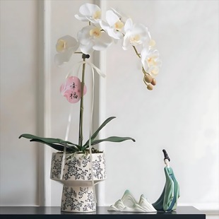 青花瓷蝴蝶兰陶瓷花盆高级感桌面花瓶复古瓷器兰花套盆多肉专用盆