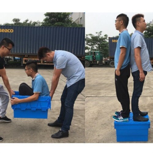 商用自动豆芽机催芽机花生芽机自动淋水控温排水摆摊一体机豆芽机