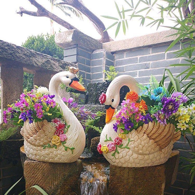 花园天鹅多肉绿植艺术花