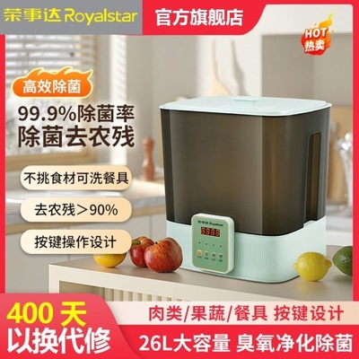 食材净化机果蔬机清洗机杀菌消毒去农残蔬菜水果自动洗菜机