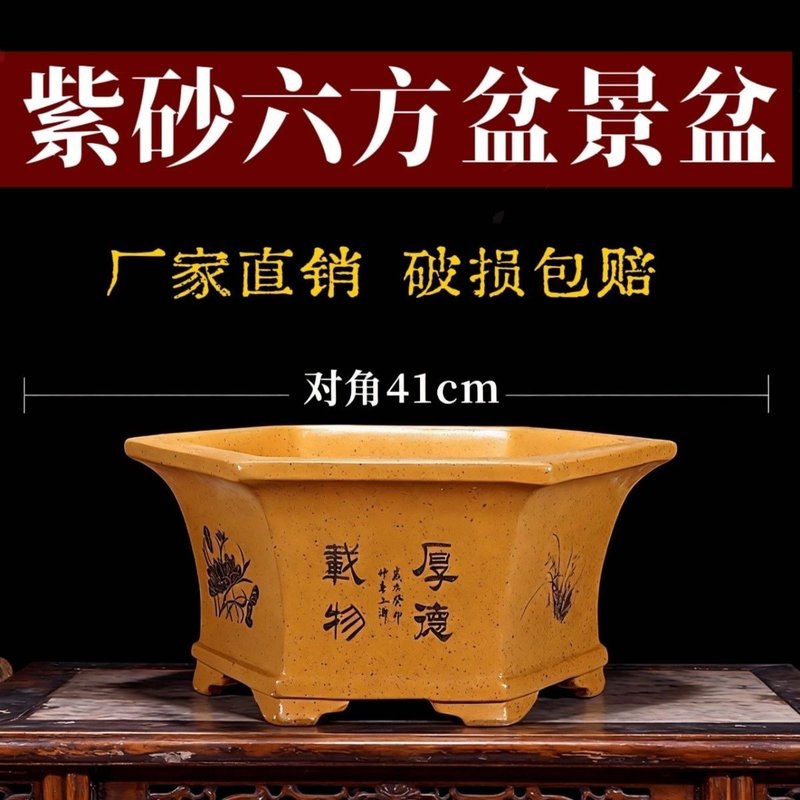 紫砂花盆大口径金弹子小叶紫檀松树客厅阳台庭院绿植物老桩盆景盆