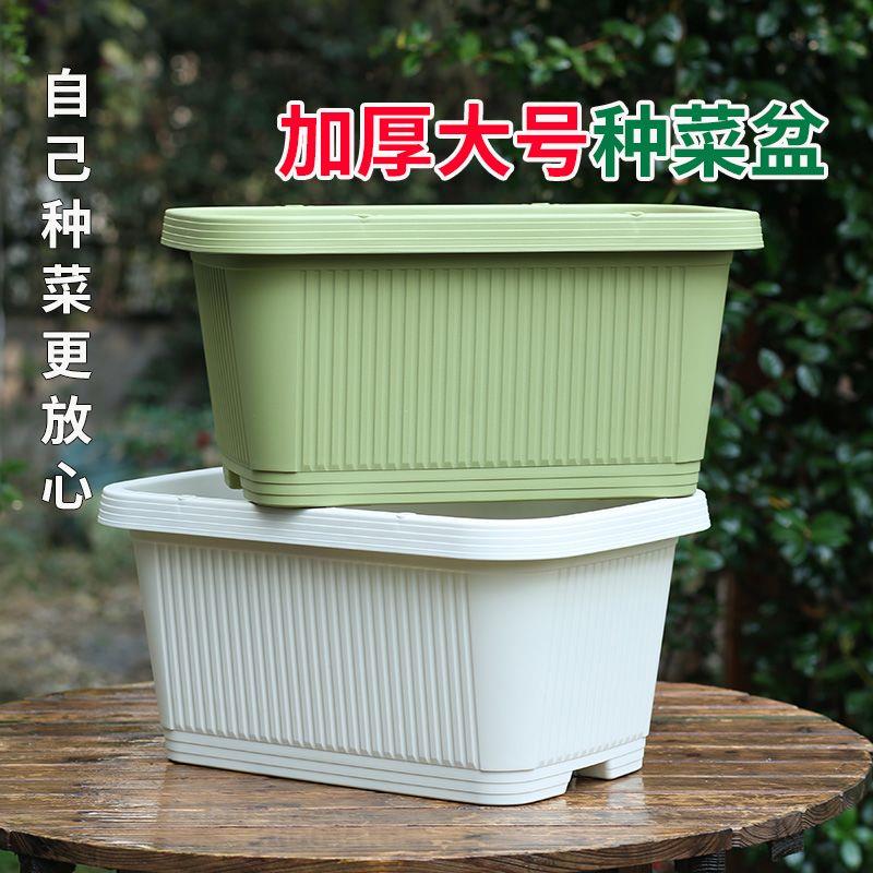 特大号控根长方形种菜盆