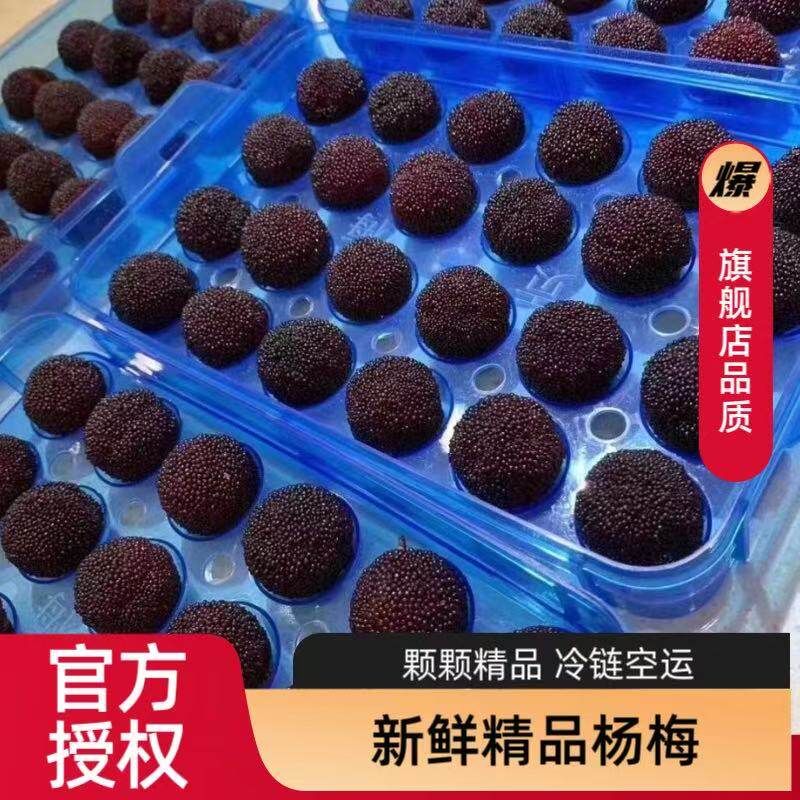 浙江宁波慈溪杨梅石屏杨梅鲜果荸荠杨梅余姚黑炭杨梅礼盒现摘现发