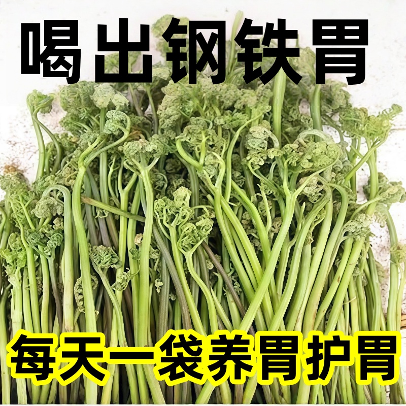 猴头菇丁香沙棘茶养胃茶暖胃脾胃口气调理女士男士健脾消食养生茶