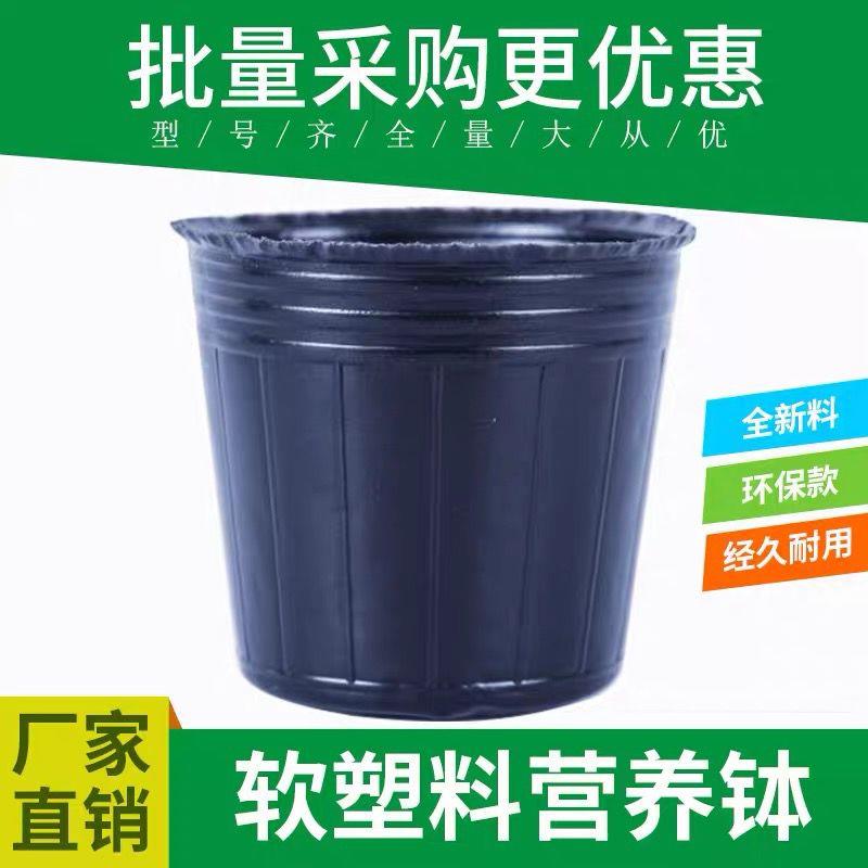 营养钵育苗杯一次性袋塑