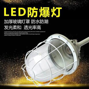 led防爆灯隔爆球高亮防爆灯罩防潮耐高温灯泡防爆厨房库房加油站