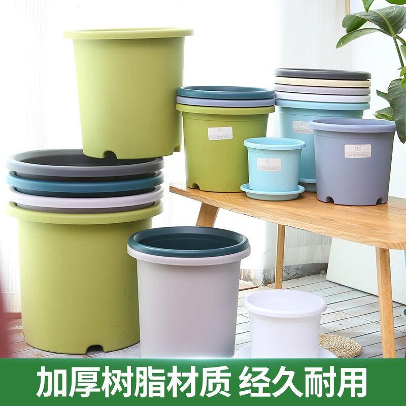 四季盆加仑兰花盆特大加