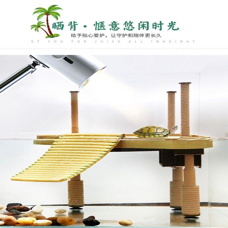乌龟晒台爬宠陆龟高水位