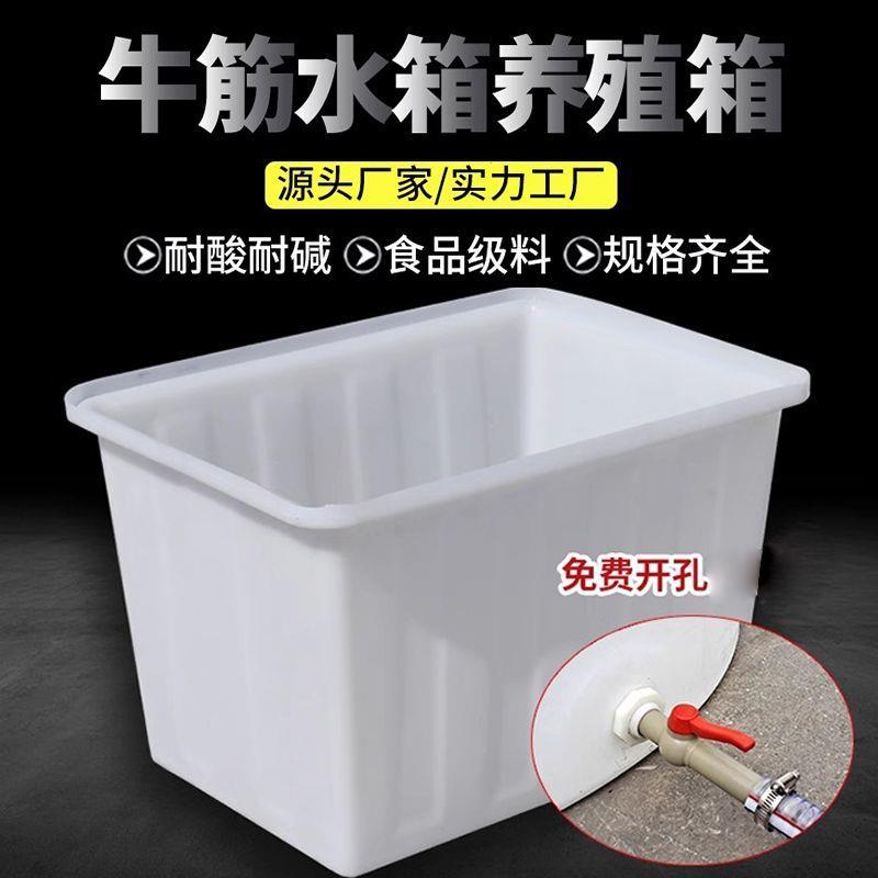 水产养殖方桶养鱼卖鱼牛