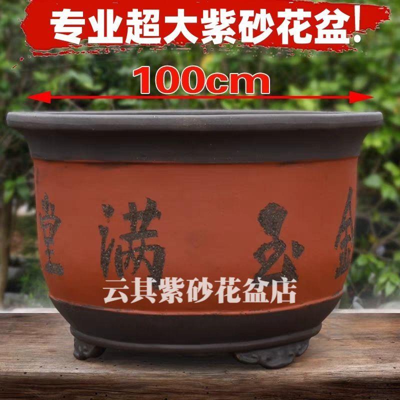 宜兴紫砂花盆特大种树口