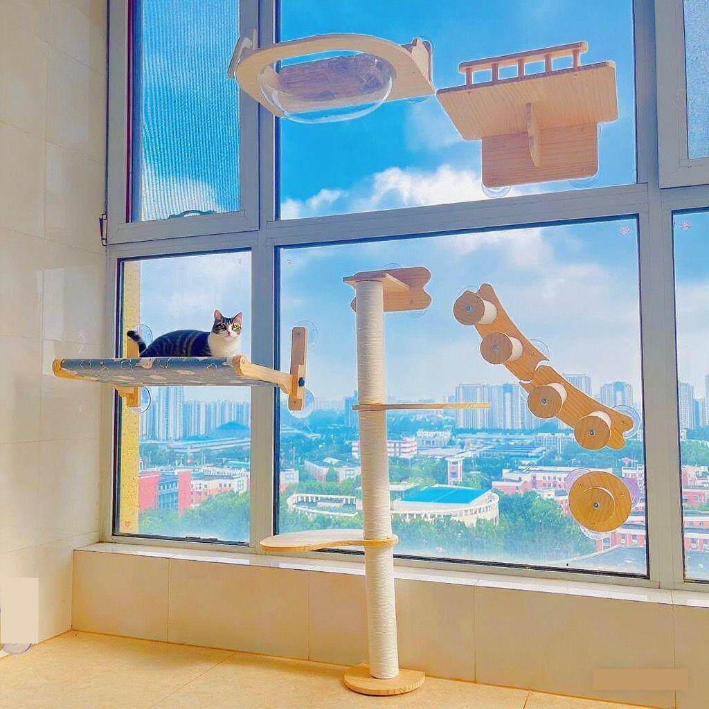 (首单直降)窗户猫吊床吸