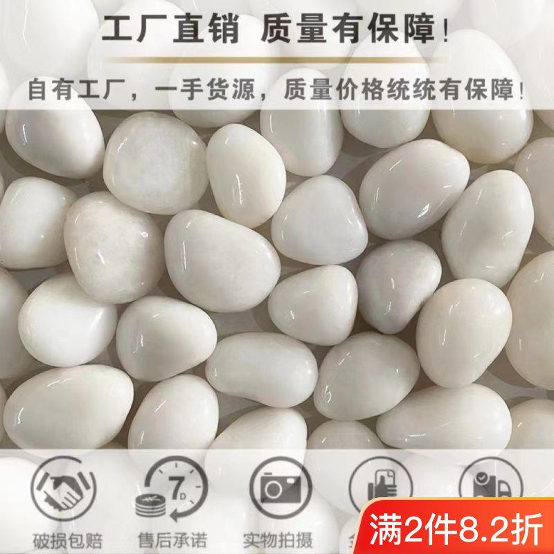 白色鹅卵石抛光花园水培