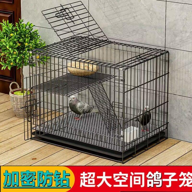 鸽子笼家用超大加密防鼠