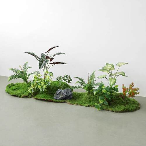 植物苔藓造景装饰组合仿D