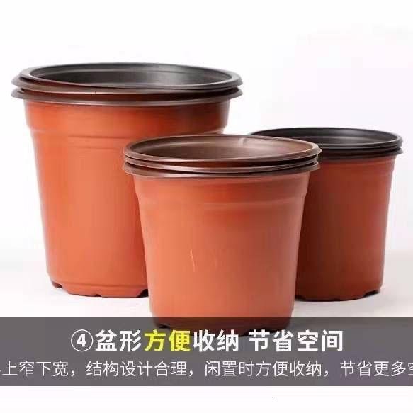 一次性育苗盆双色盆营养