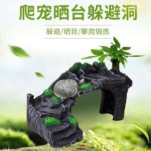 乌龟晒台爬台高水位石头
