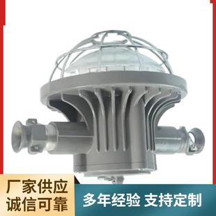 DGS24/127L(B)扇形矿用巷道灯煤矿井下用LED巷道灯