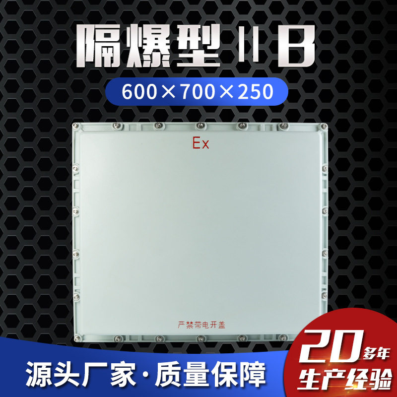 隔爆型ⅡB600×700×250配电箱