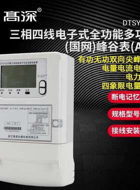 三相四线电子式全功能多功能电能表（国网）峰谷表（A级）电能表