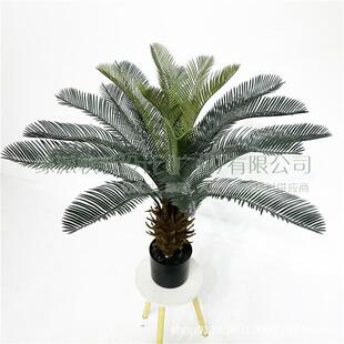 仿真绿植苏铁树盆栽室内外落地庭院假植物装饰树盆景摆件