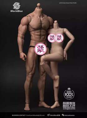现货Worldbox AT027 1/6 耐操素体 壮汉版 男素体 现货