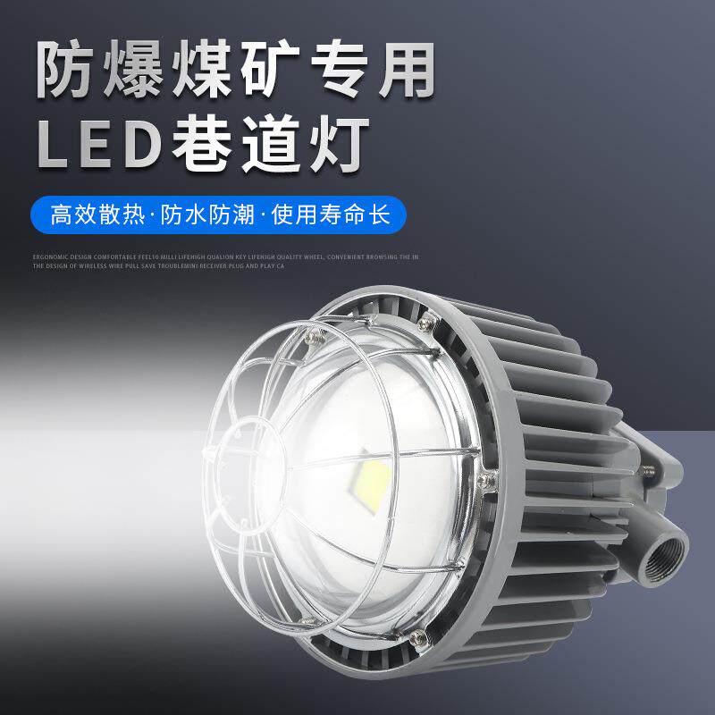 工厂仓库圆形防爆led灯矿用防爆型巷道灯DGS50.127L巷道灯