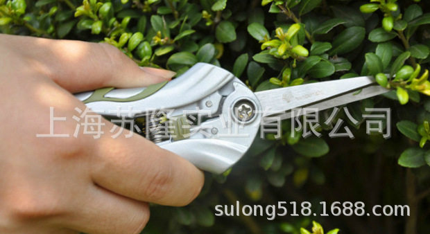 果蒂剪花枝剪*家庭园林剪刀摘果0.2 沃施园艺工具*1037花剪修枝剪