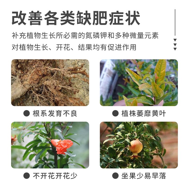 石榴树专用肥景观石榴花肥料庭院果树水果盆栽盆景复合肥有机化肥
