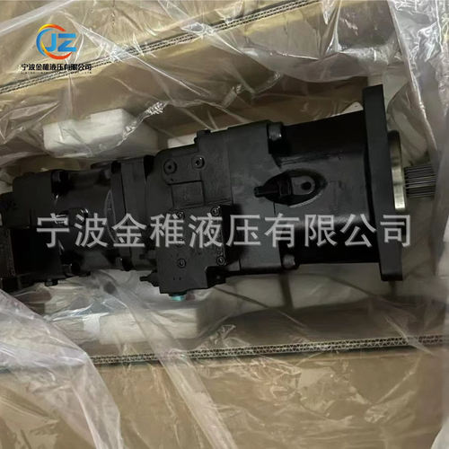 D1P193RATPSNTE4Y1D509025025NNFSFSNNNNNN 柱塞泵掘进机用