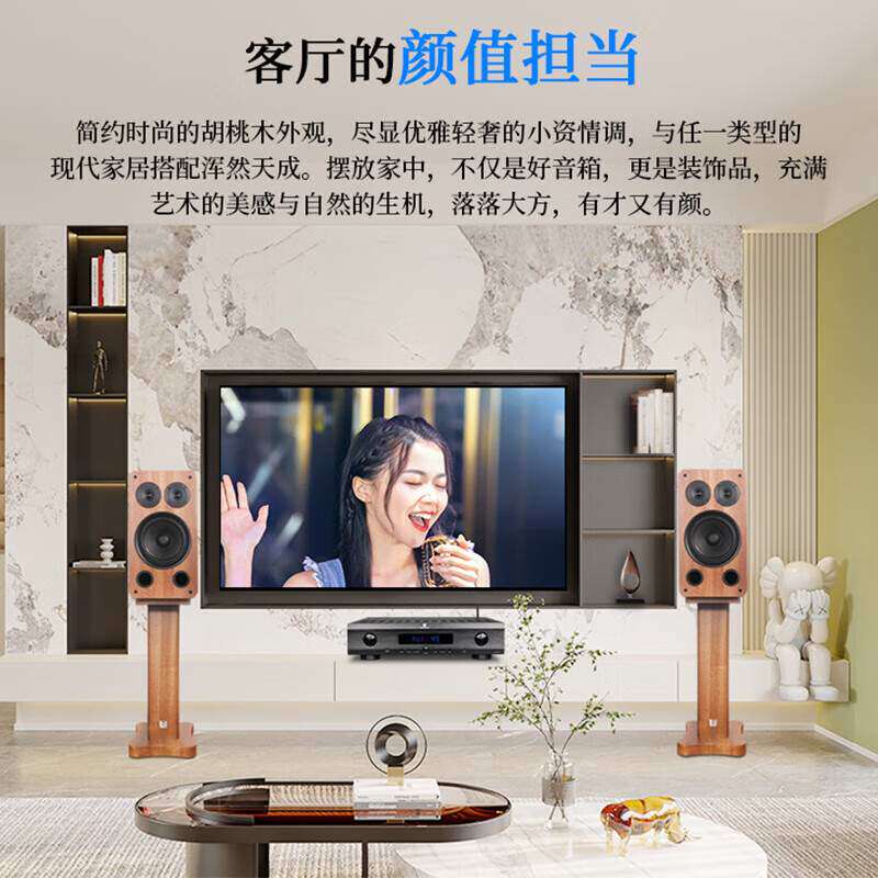 天逸(Winner) BL-05MKII 家庭影院8英寸 家庭ktv复古木纹音响