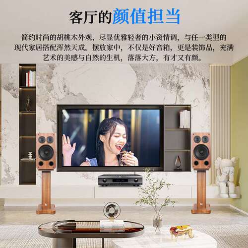 天逸（Winner） BL-05MKII 家庭影院8英寸 家庭ktv复古木纹音响