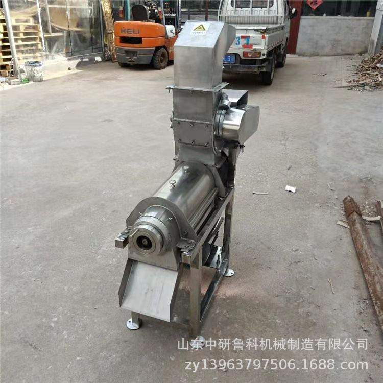 商用椰蓉哈密瓜打汁机 果汁大型加工设备 青梨西梅去核榨汁机