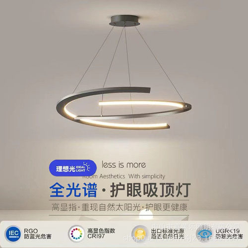 极简客厅主灯现代简约大气2023年新款北欧创意个性环形餐厅吊灯