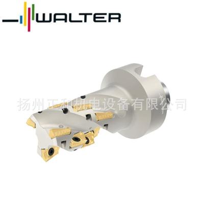 玉米铣刀可转位刀片的铣刀F4238.N6.040.Z03.57