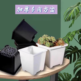 塑料加厚多肉花盆树脂景天群生仙人球盆组合盆小黑白方盆多肉专用