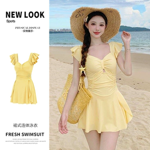2026年新款 泳装 裙式 ins风小胸聚拢时尚 连体保守显瘦韩版 泳衣女款