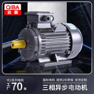 75W工业大型交流电机马达 工厂直供YE3三相异步电动机22