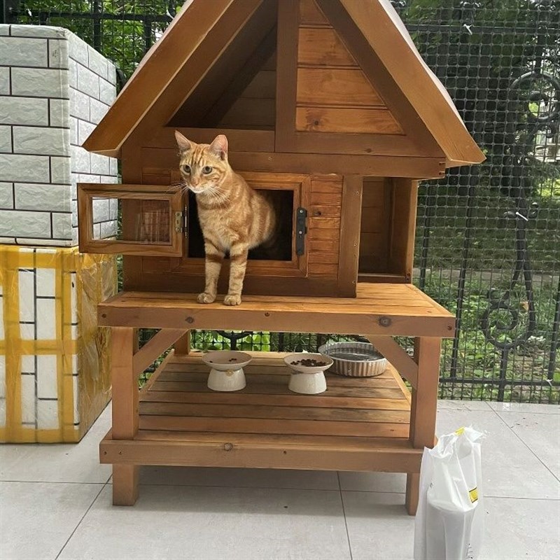 猫窝四季通用实木质室外防水防晒大型犬狗屋别墅R房子宠物用品大
