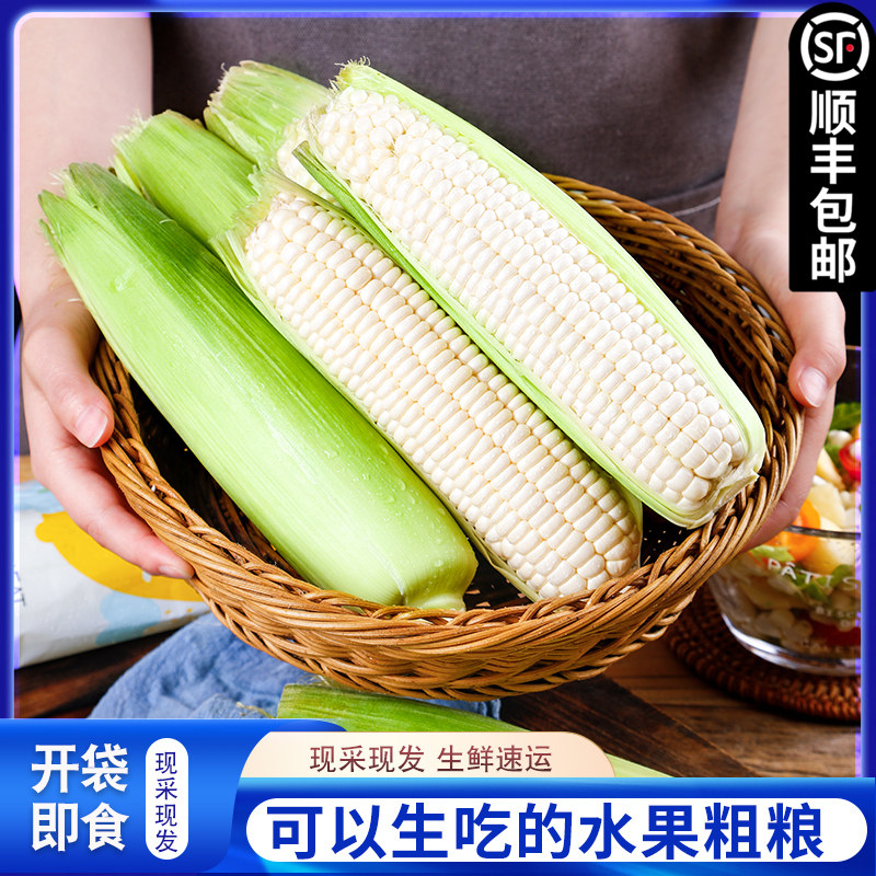 水果玉米新鲜白糯牛奶玉米