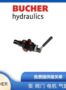 25-B-PND-S250-L-G12-7-SVA450BUCHER布赫齿轮泵