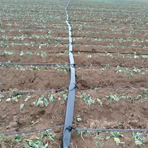 N16迷宫带农用滴灌带大棚蔬菜膜下滴管果园绿化滴水管节水灌溉