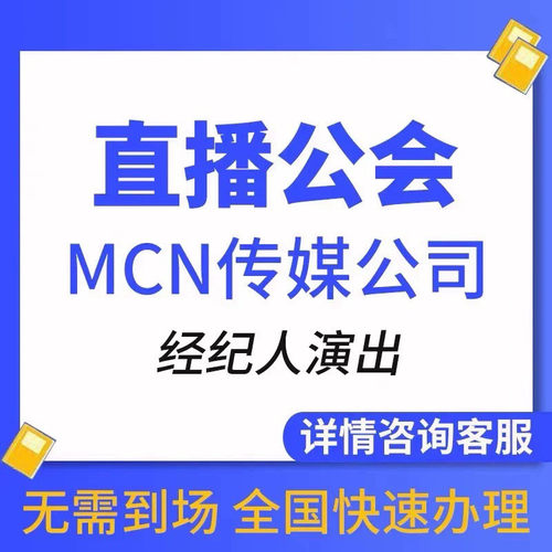 2024活动报批演出涉外文