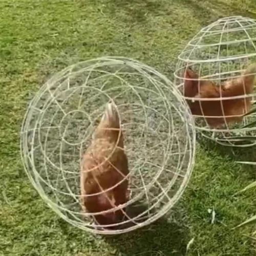 圆形兔笼农场景区网红走地鸡笼子新裁可滚动防护笼塑料球形鸡笼