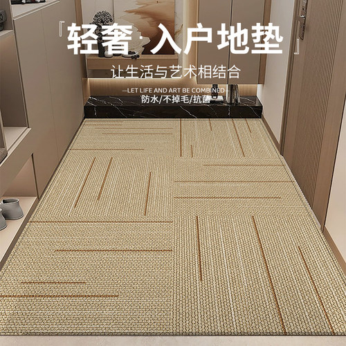 地垫入户门垫耐脏进门地垫2024新款高级感门口脚垫日式玄关地毯