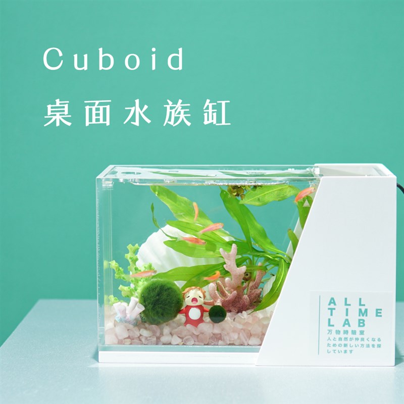 桌面生态鱼缸来潮时Cuboid迷你球藻小微水族缸懒人好养免打理造景